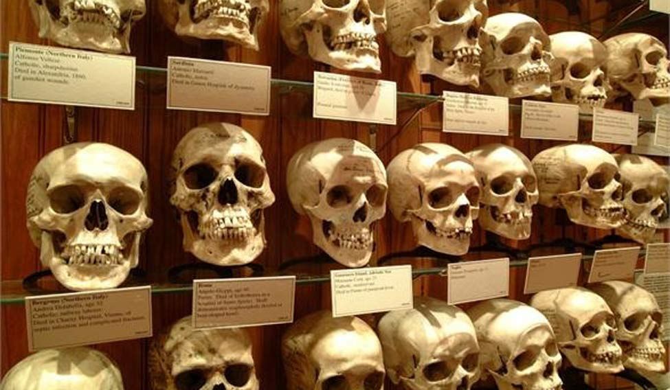 Mutter Museum History of a different kind